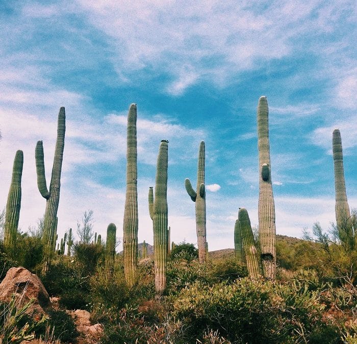 The Impact of Tucson, Arizona Heat on Appliance Longevity